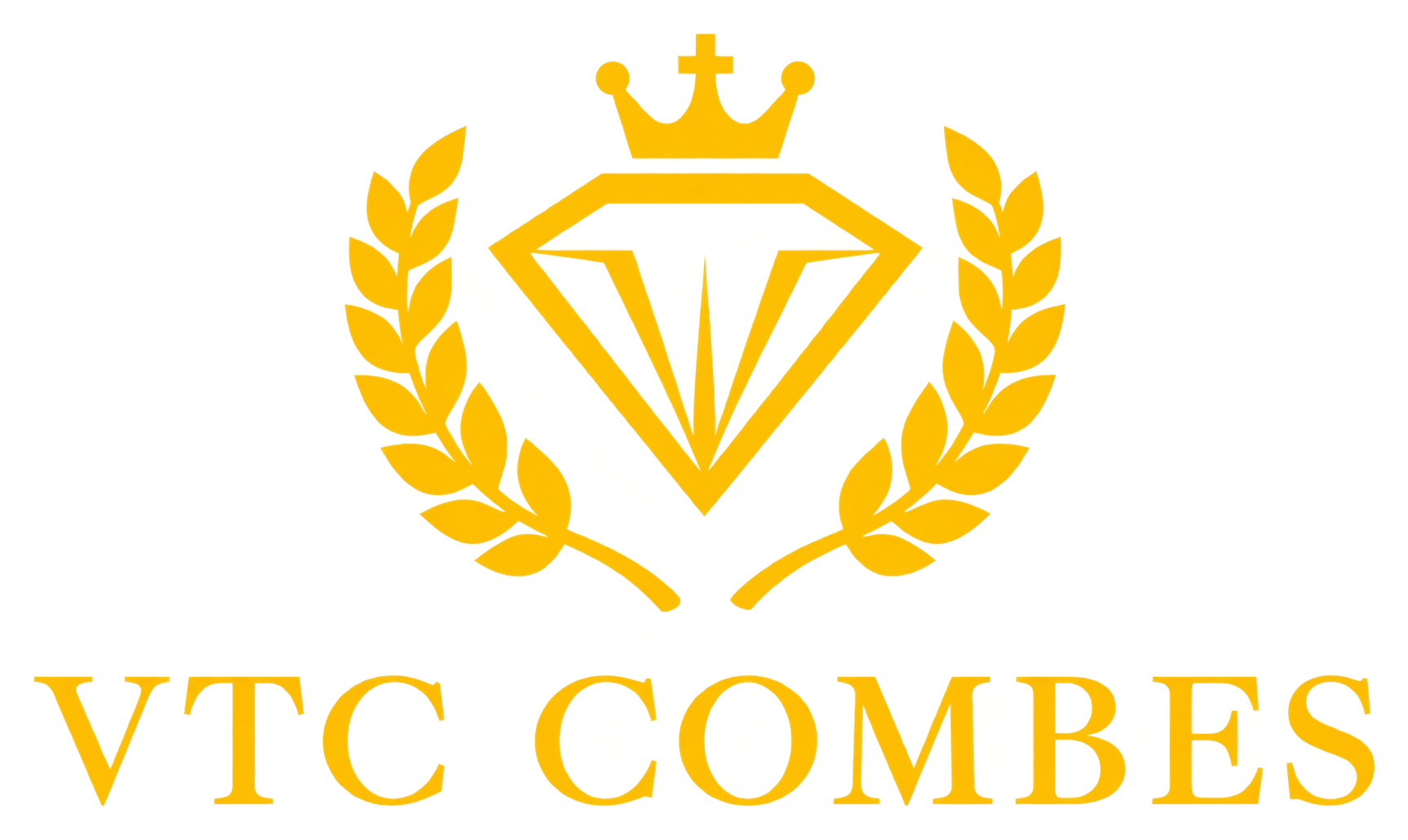 Logo VTC Combes